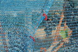 Vogelschutznetz mit Netzclip